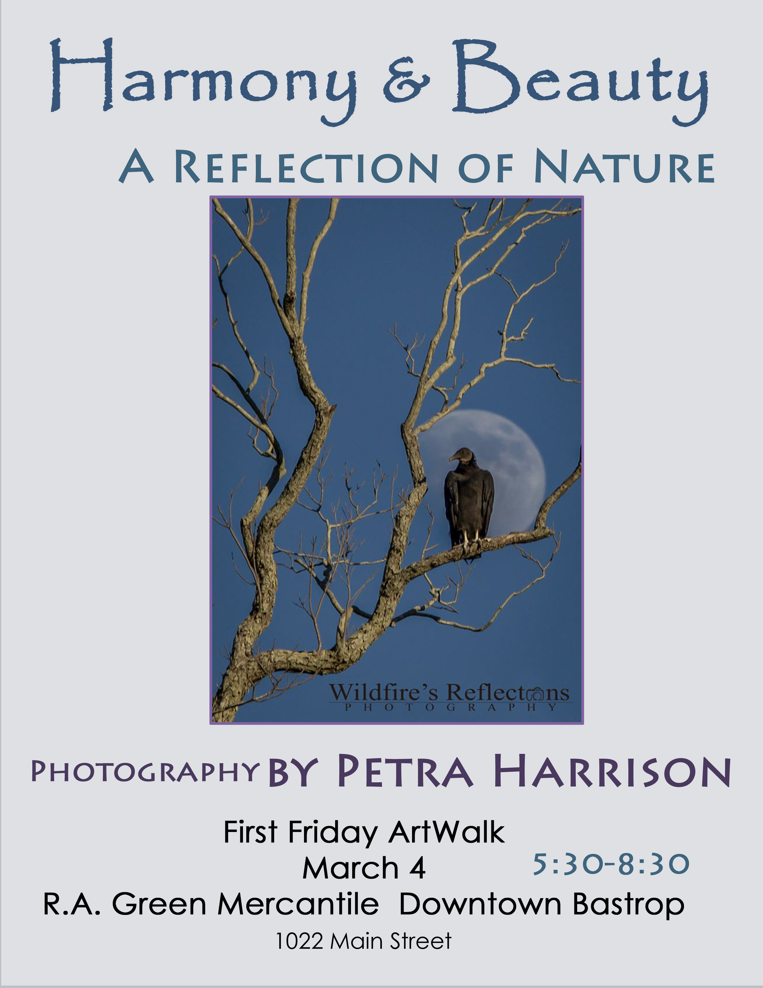 Petra Harrison's CRR Photos at Bastrop Art Walk