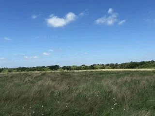Zoomed Out View (2).jpg