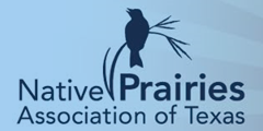 Native Prairies of Texas - San Antonio Chapter Meeting