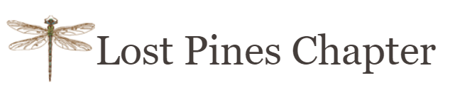 Bridge Maniacs at the CRR