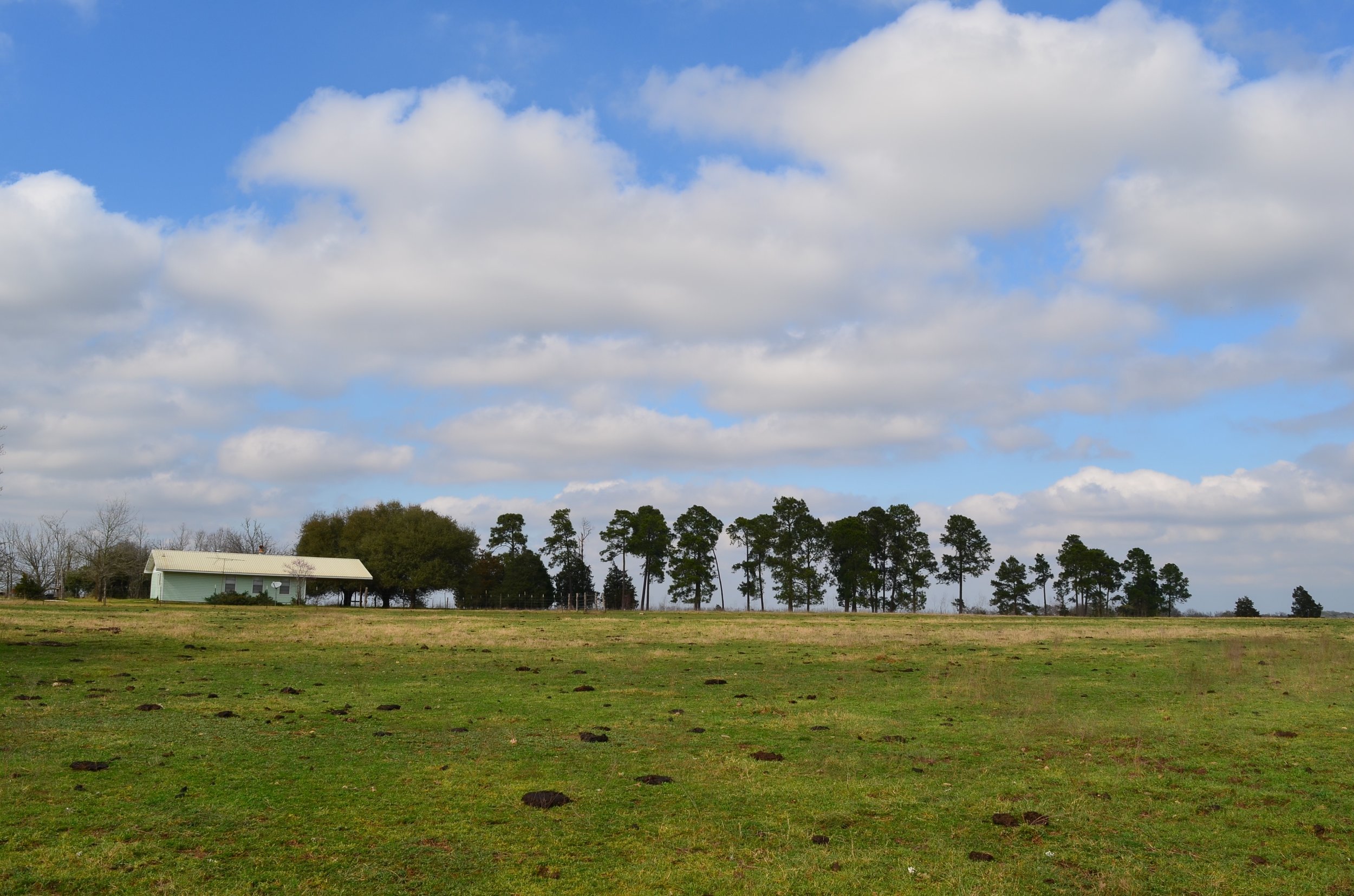 Billig farmhouse long shot.jpg