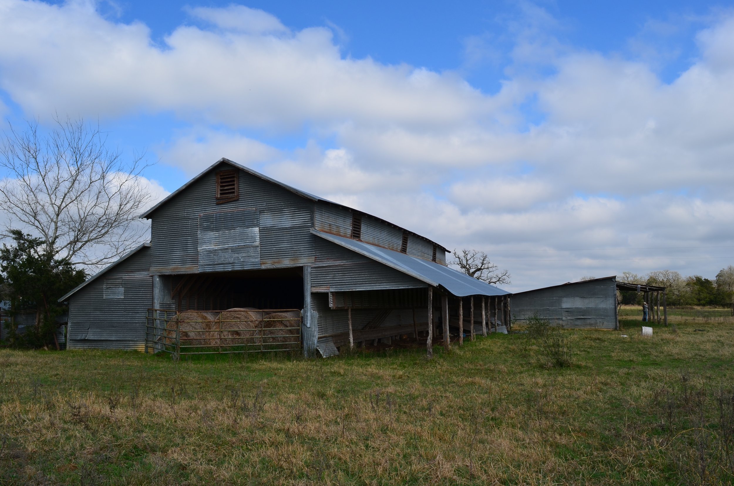 Billig Barn.jpg