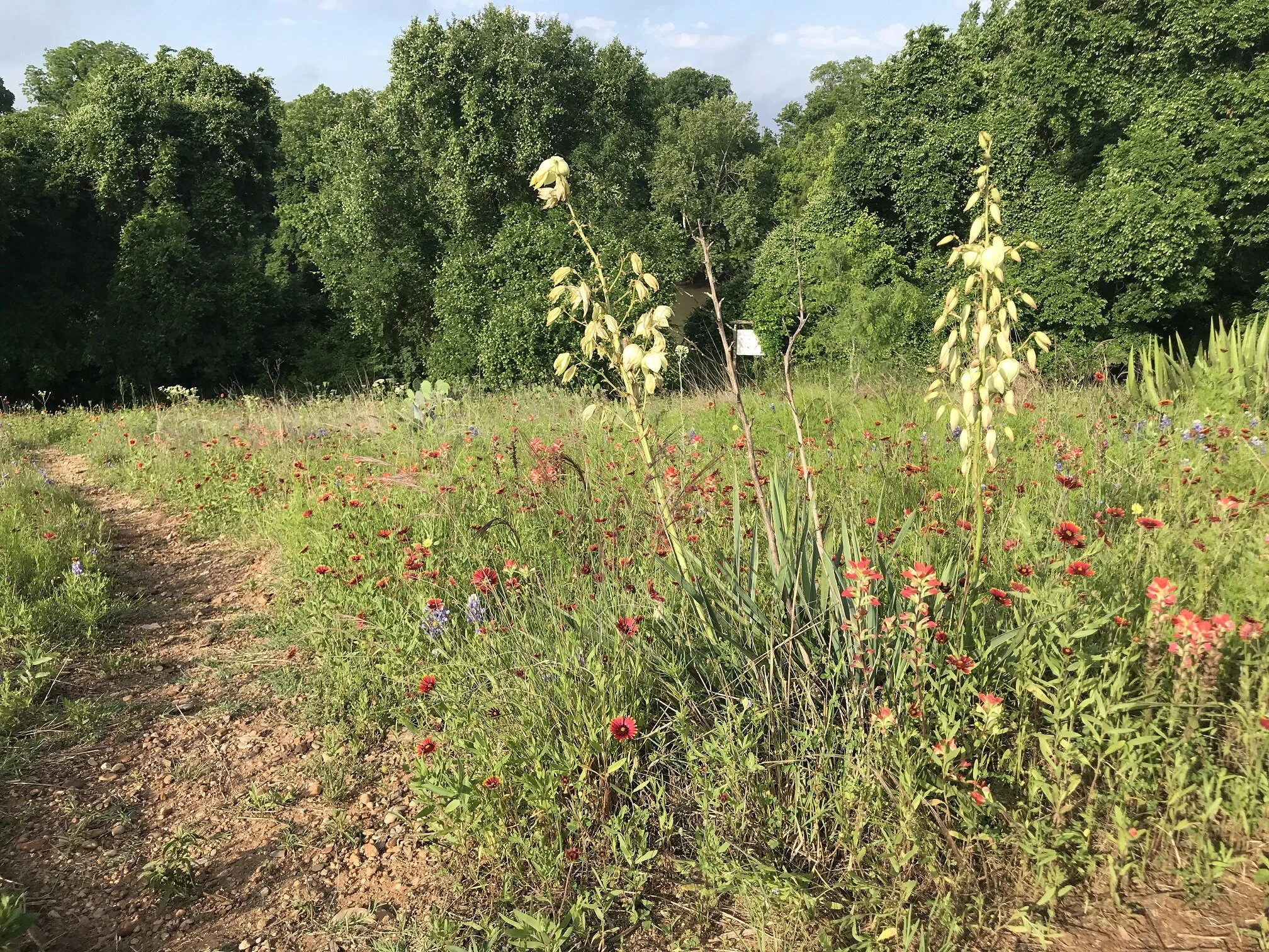 1st Saturday Service Day at the Colorado River Refuge- September