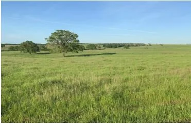 Protecting Our Working Lands Workshop