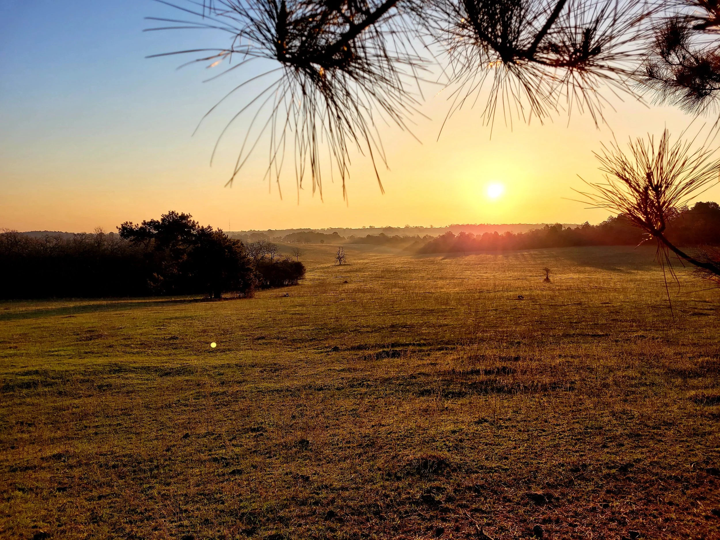 Open Preserve Day at Yegua Knobbs