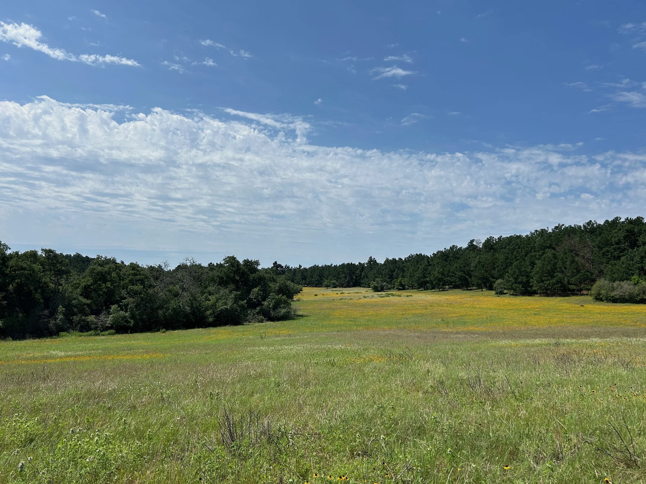 Open Preserve Day at Yegua Knobbs