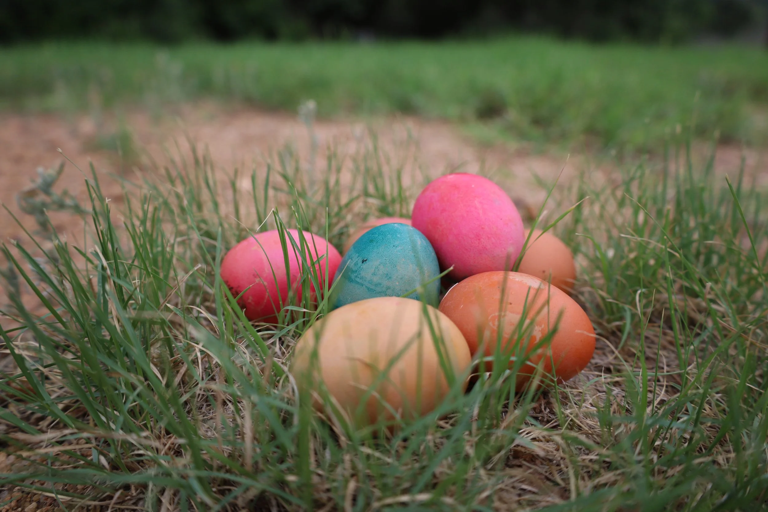 First Sunday Service Day - Volunteer Work Day at the Colorado River Refuge