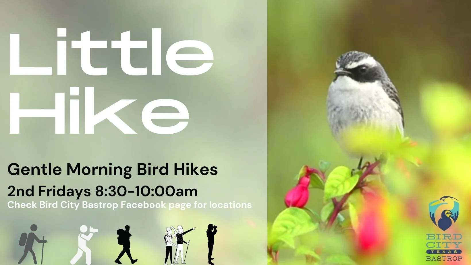 Bird City Event: "Little Hike” at the Refuge