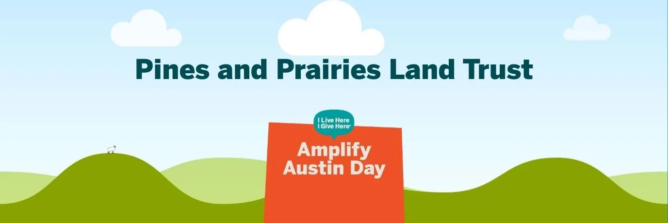 Copy of AAD Evergreen Header (1).jpg