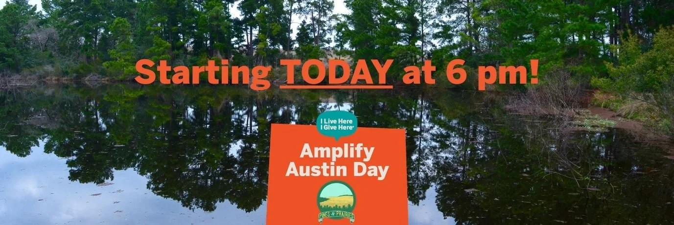 AAD Header today.jpg