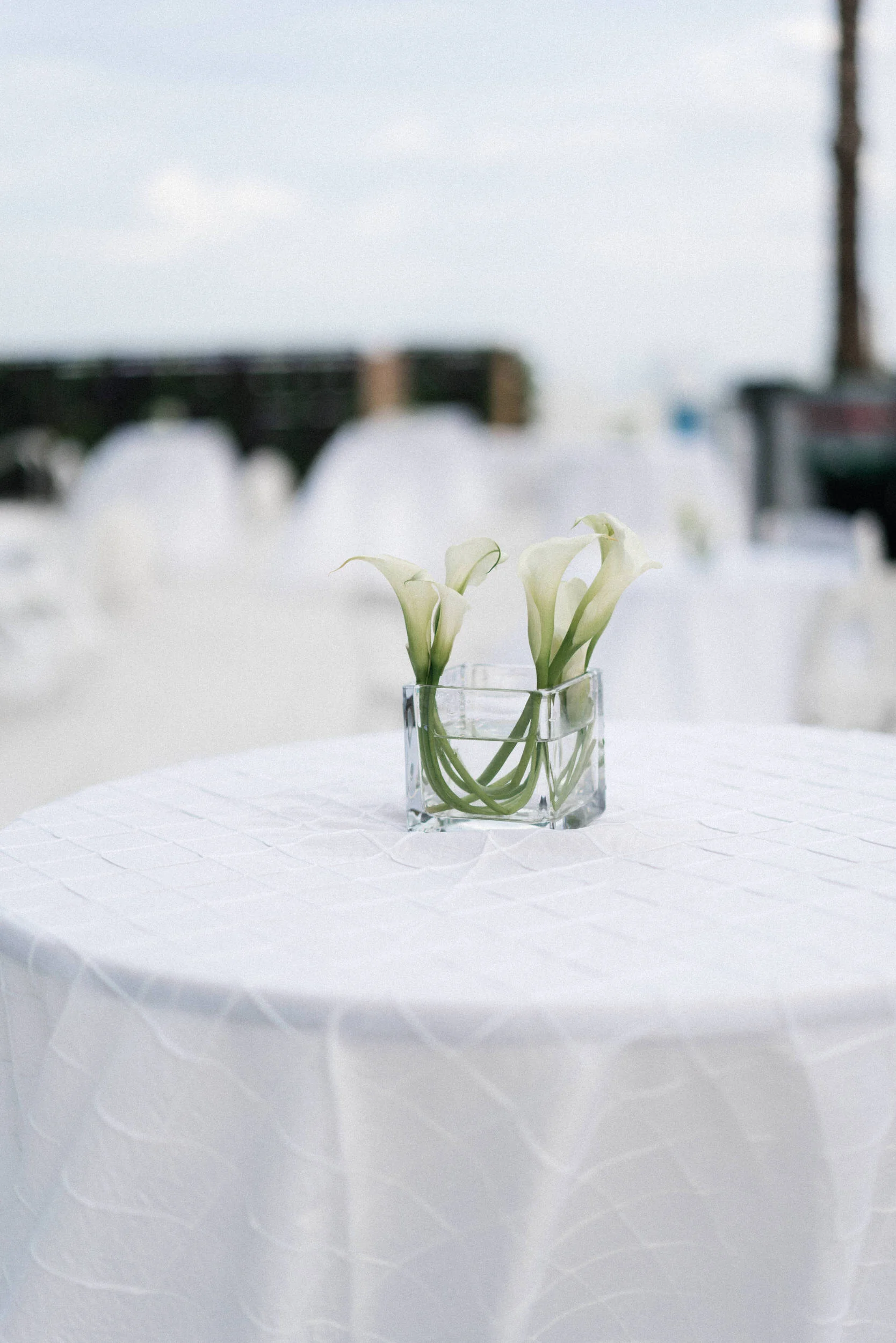 2018_11_24_EDWIN_NATALIE_WEDDING-530.jpg