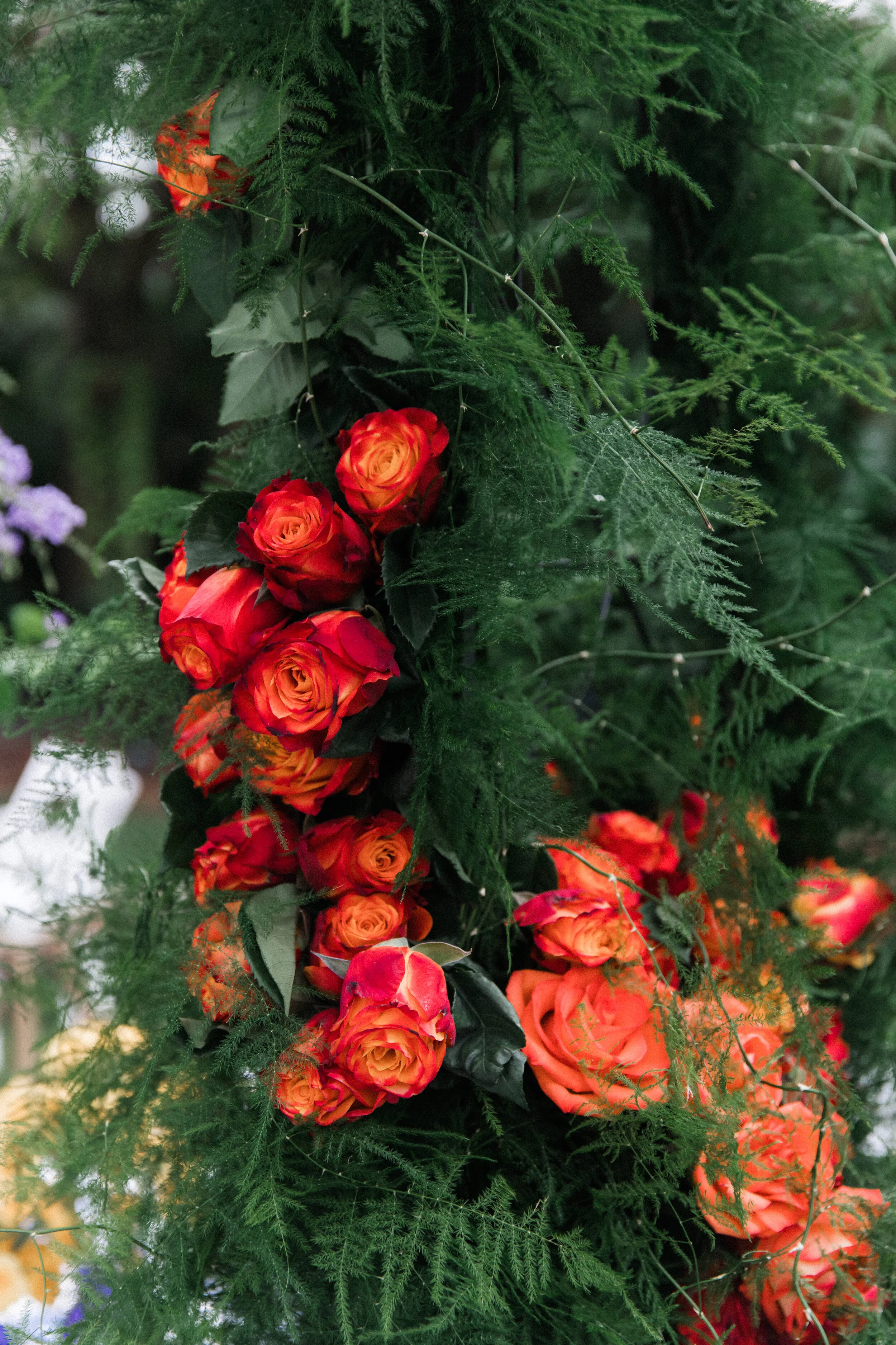 miami-celebration-photographer-orange-ranunculus-floral-detail.jpg