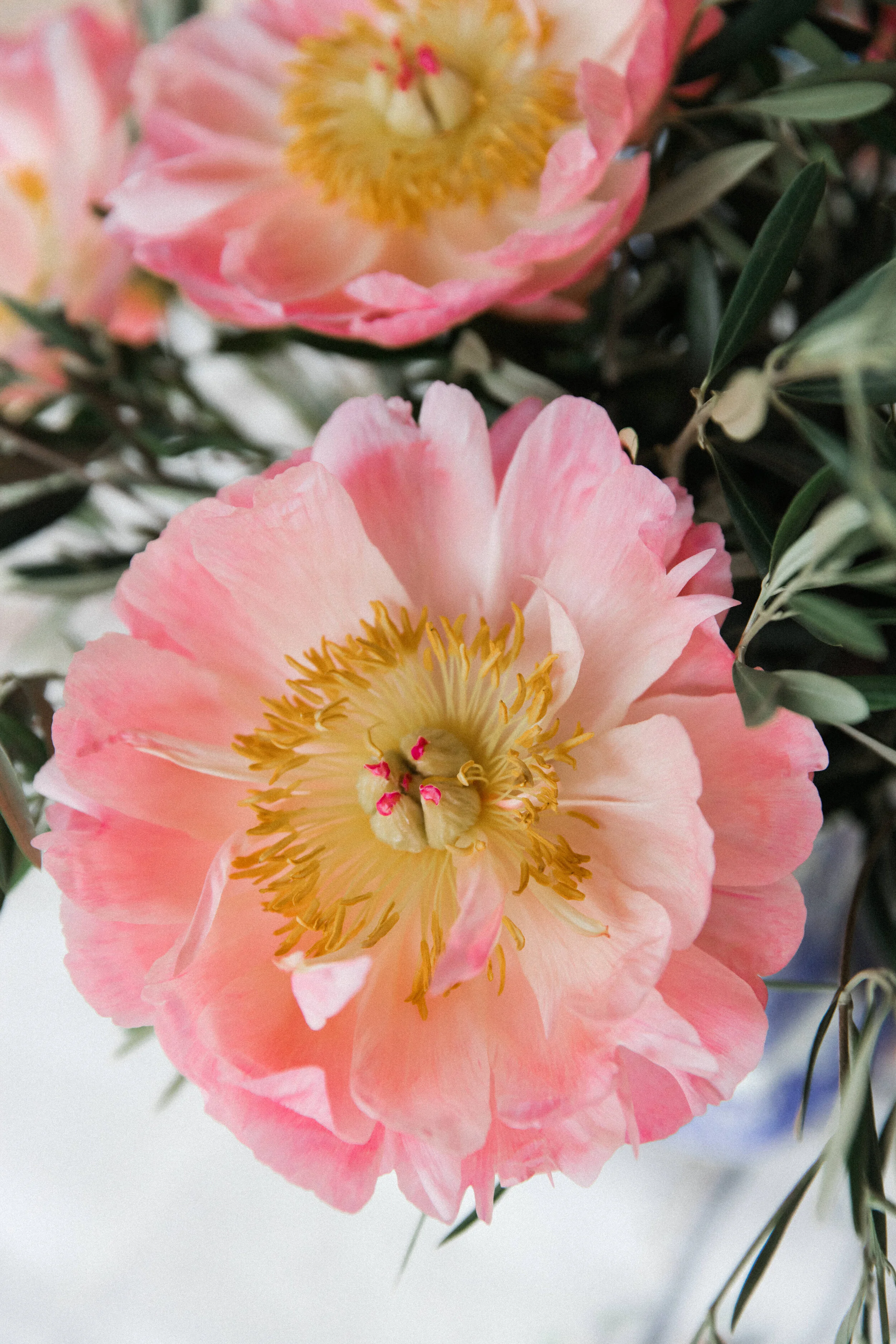 miami-celebration-photographer-pink-peony-floral-detail.jpg