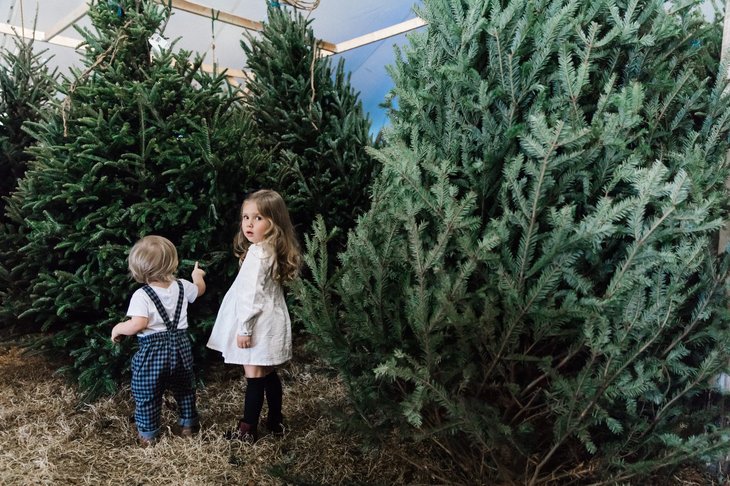 Holiday Portrait Session