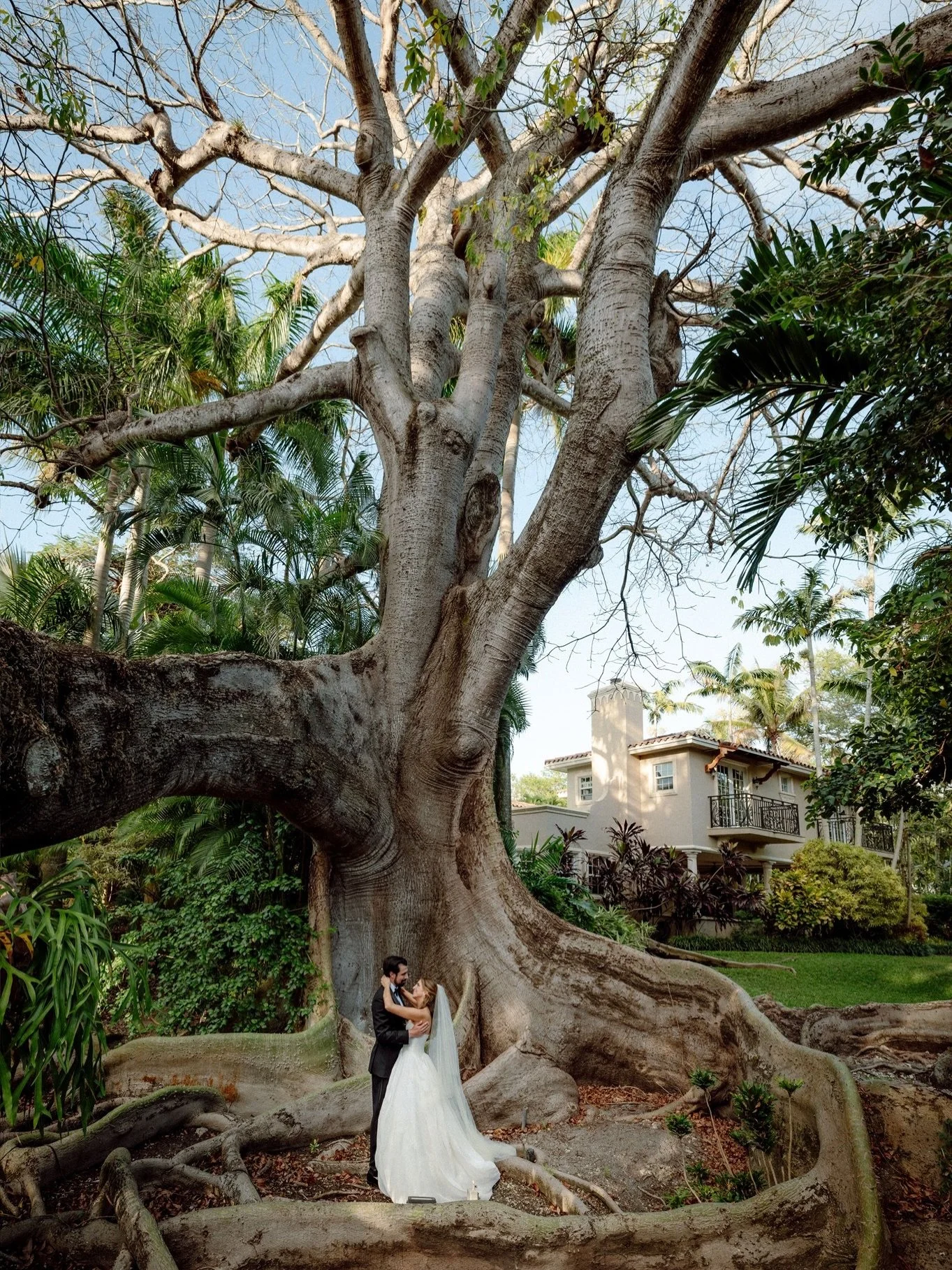 These are the portraits that slow down time. A love story framed by nature, under the banyan tree.