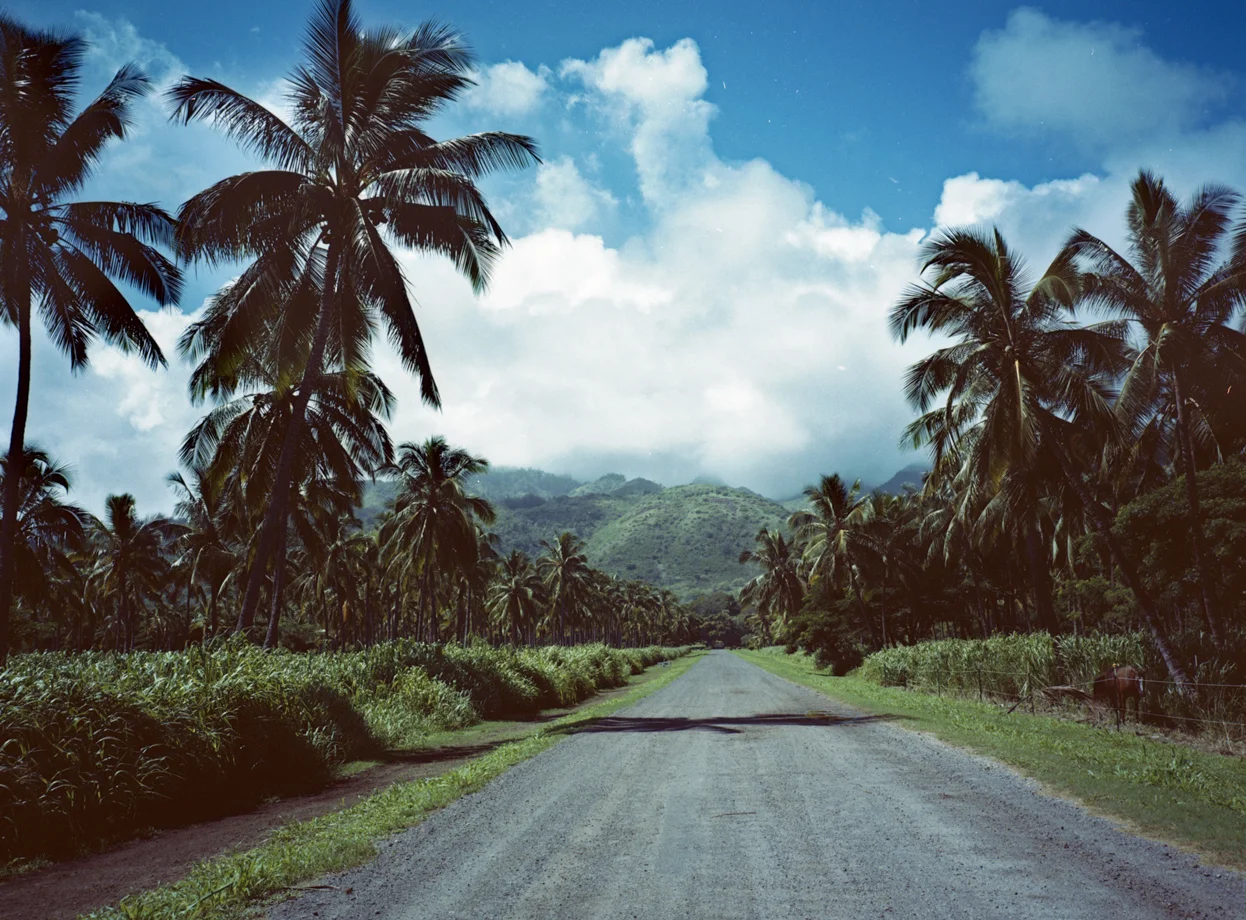 Hawaii_004.jpg