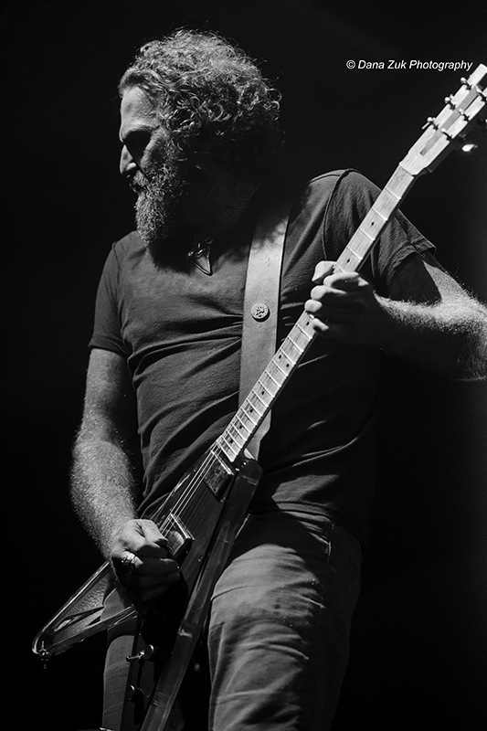Mastodon