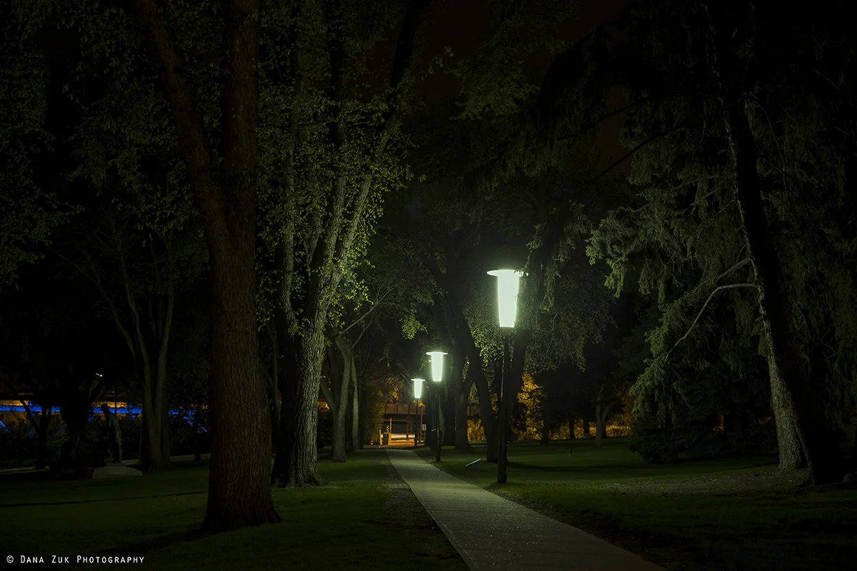010-1.jpg