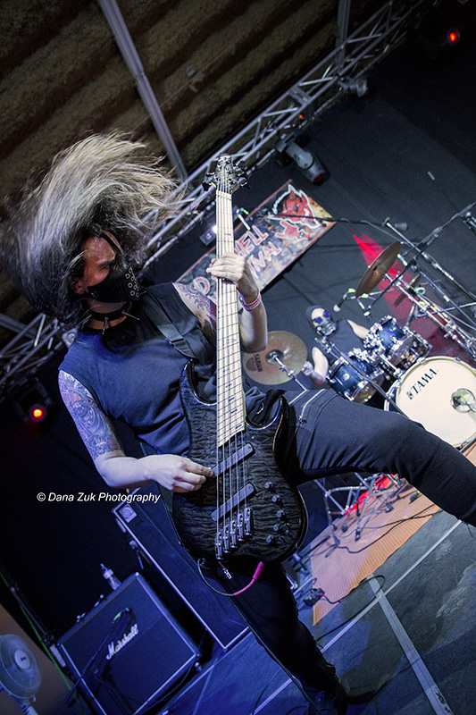 BLACK PESTILENCE