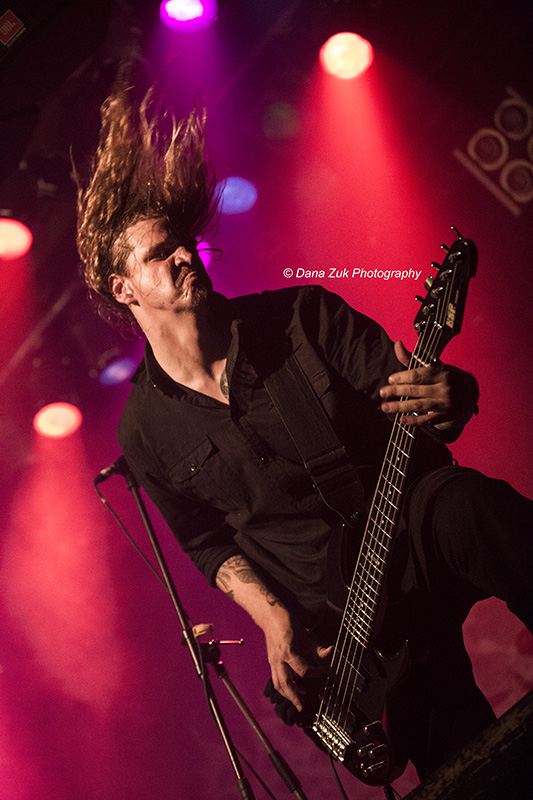 CATTLE DECAPITATION