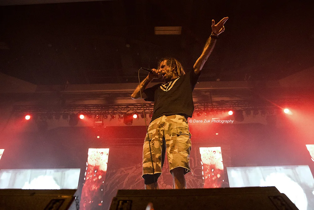 LAMB OF GOD