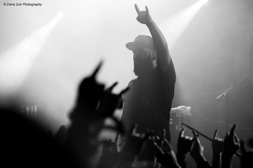 DESPISED ICON