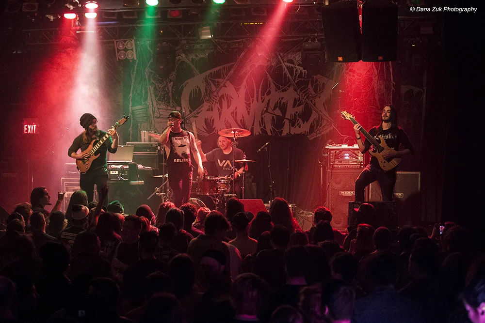 RINGS OF SATURN