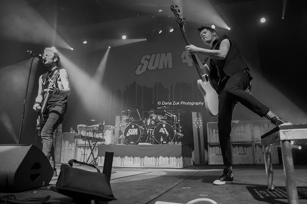 SUM 41