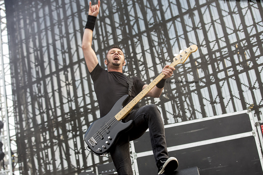 Gojira