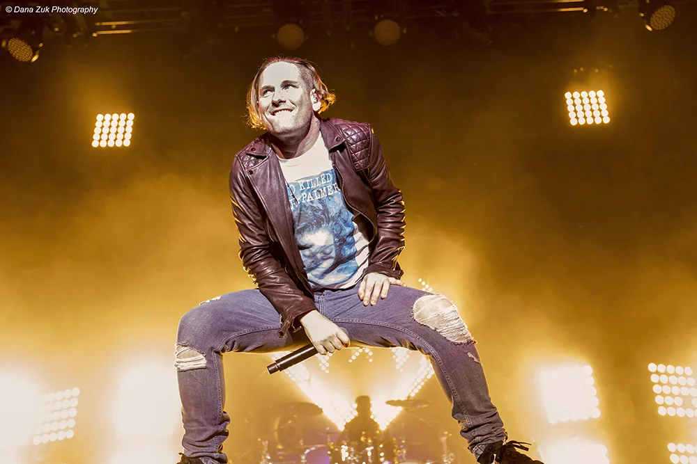 STONE SOUR