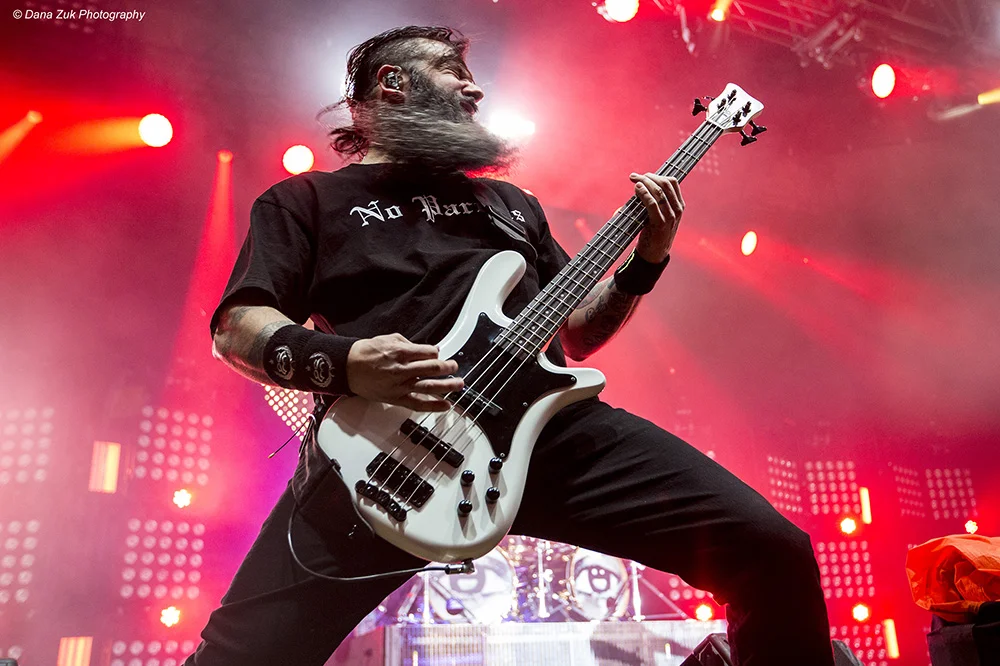 STONE SOUR