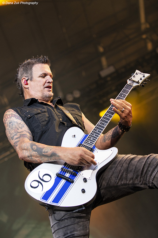 Disturbed
