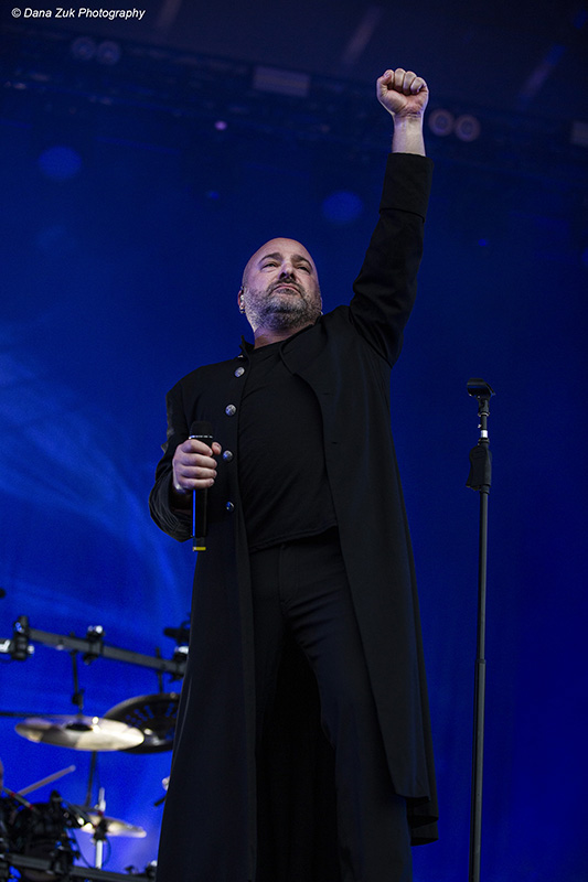 Disturbed