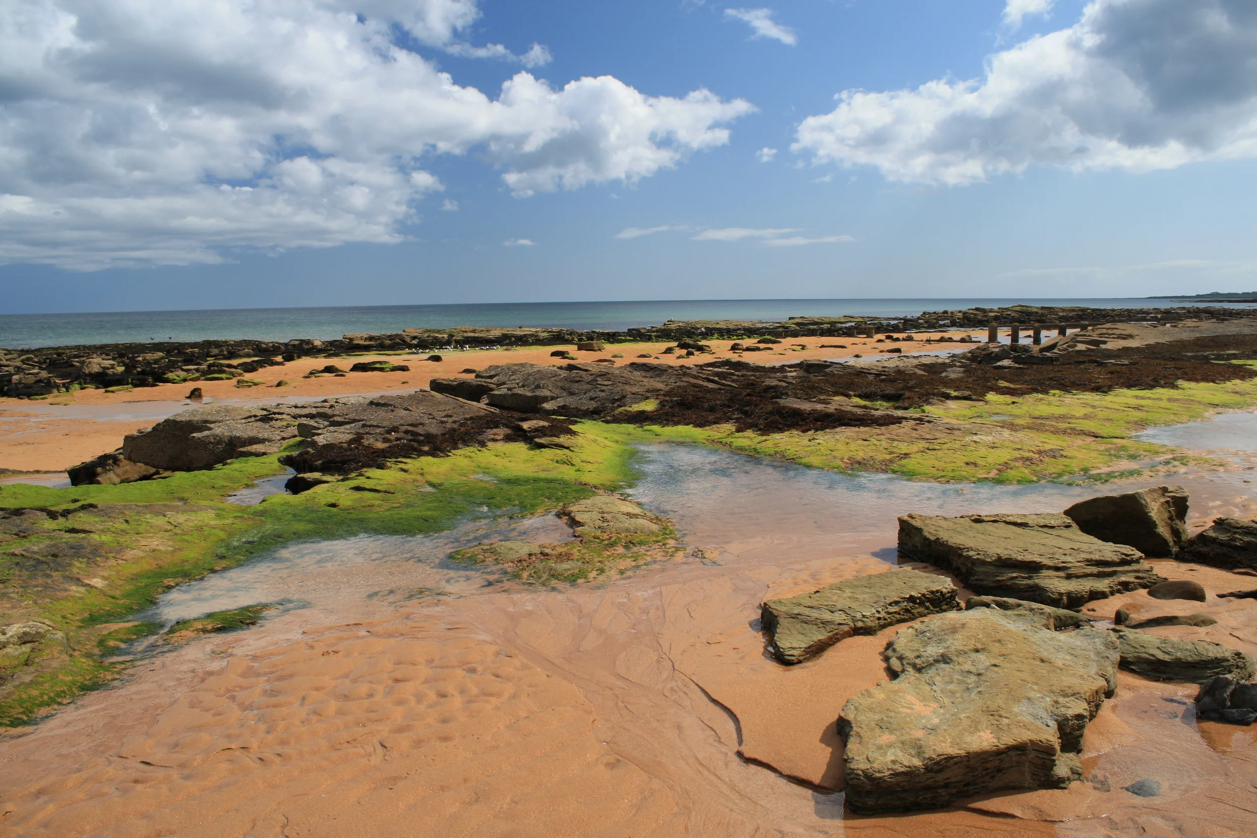 Kingsbarns Beach
