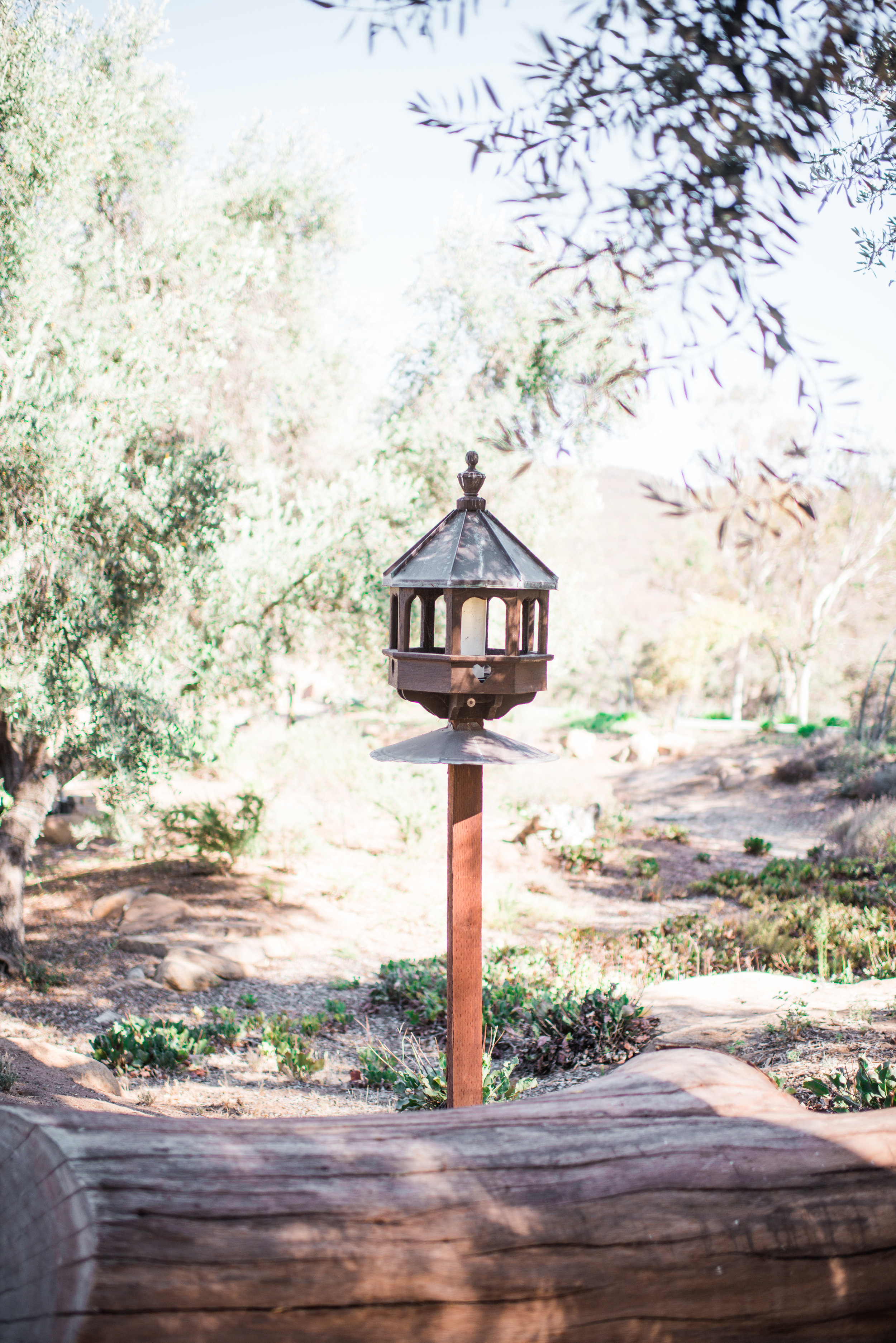 sophia-elizabeth-photography-san-diego-weddings-jamul-country- (228 of 351).jpg