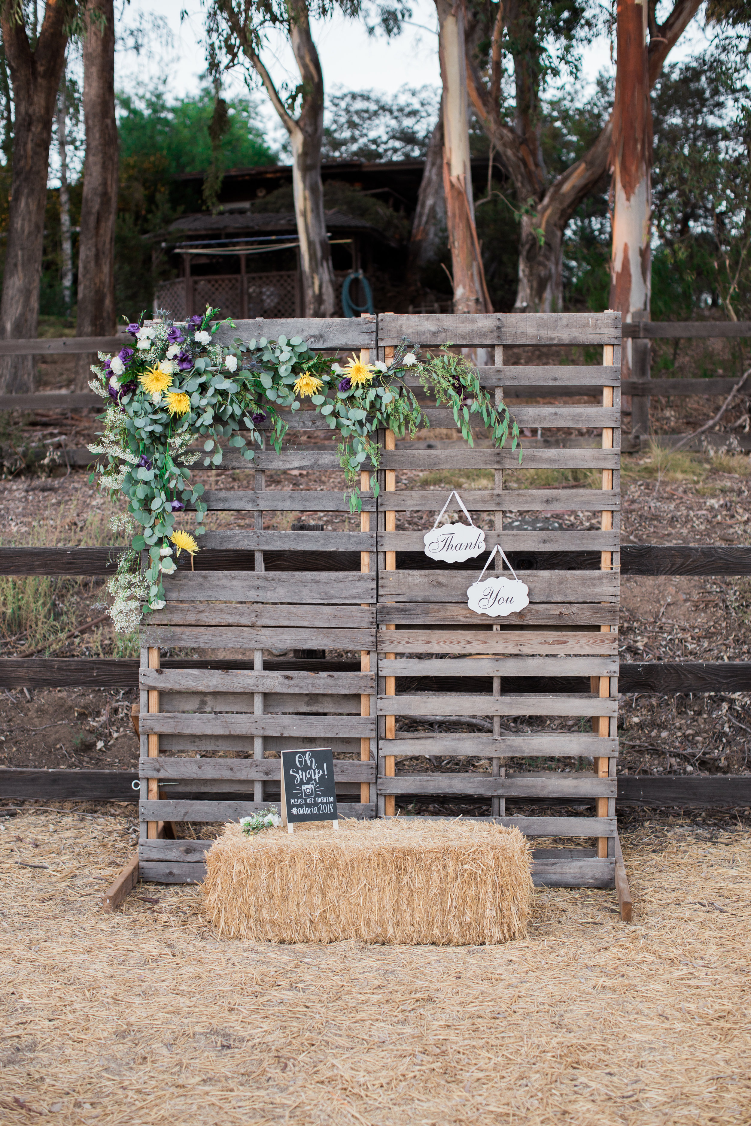 sophia-elizabeth-photography-san-diego-weddings-jamul-country- (818 of 312) - Copy.jpg