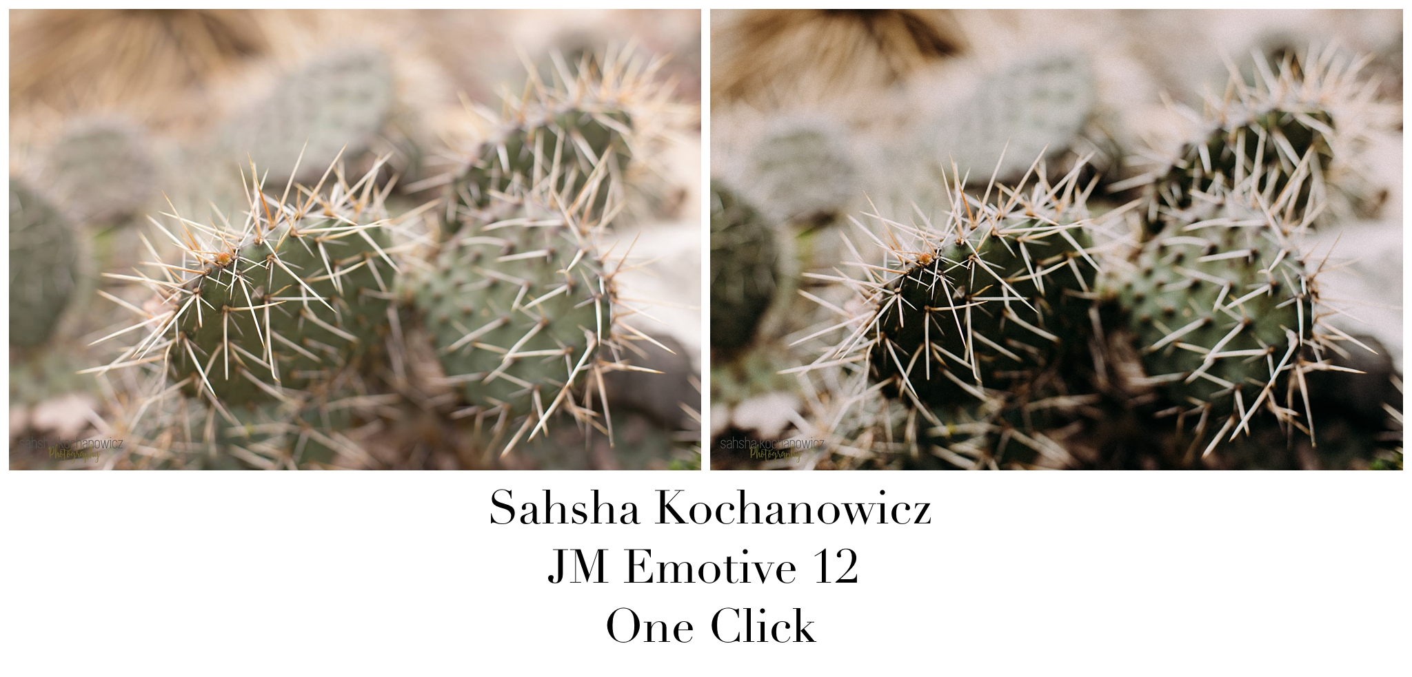 Sahsha Kochanowicz