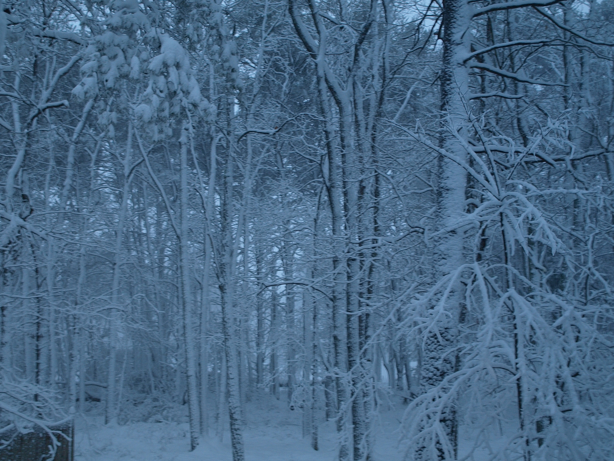 Conditioning, Not Cardio