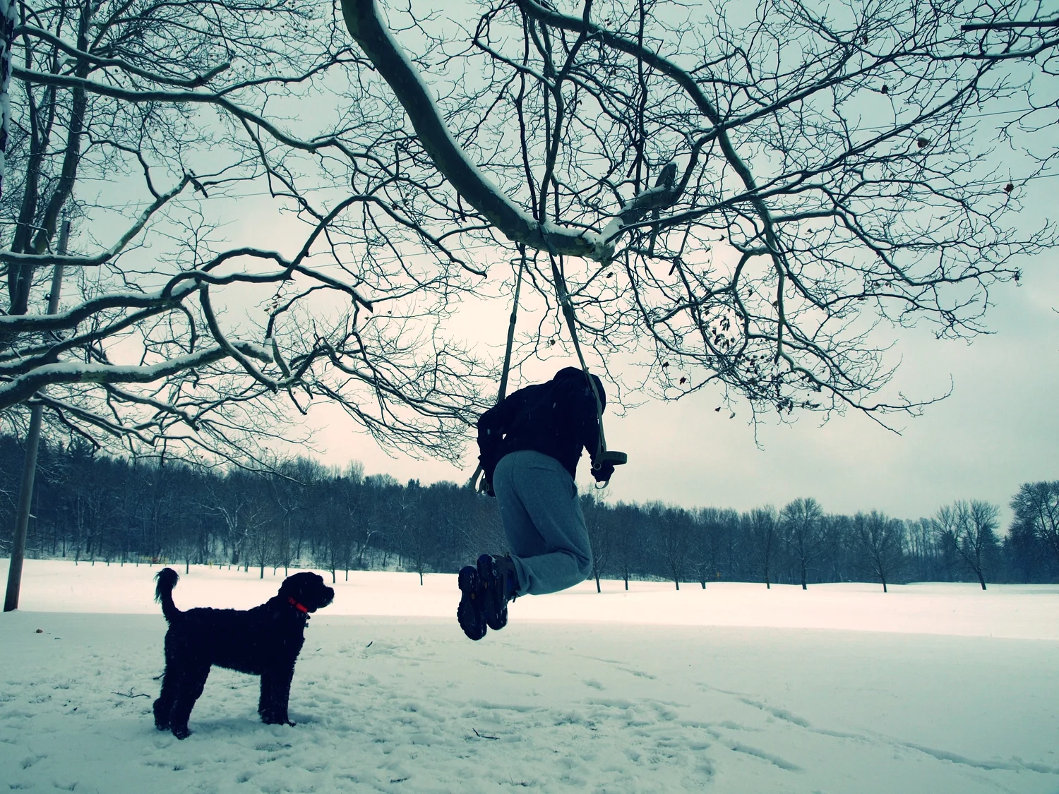 7 Critical Steps for Progress