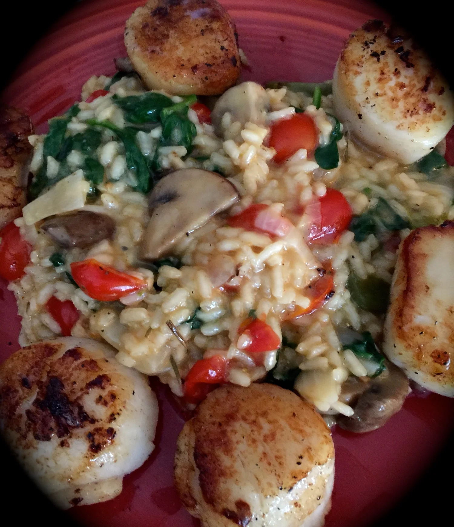 Re-Feed Risotto and Scallops