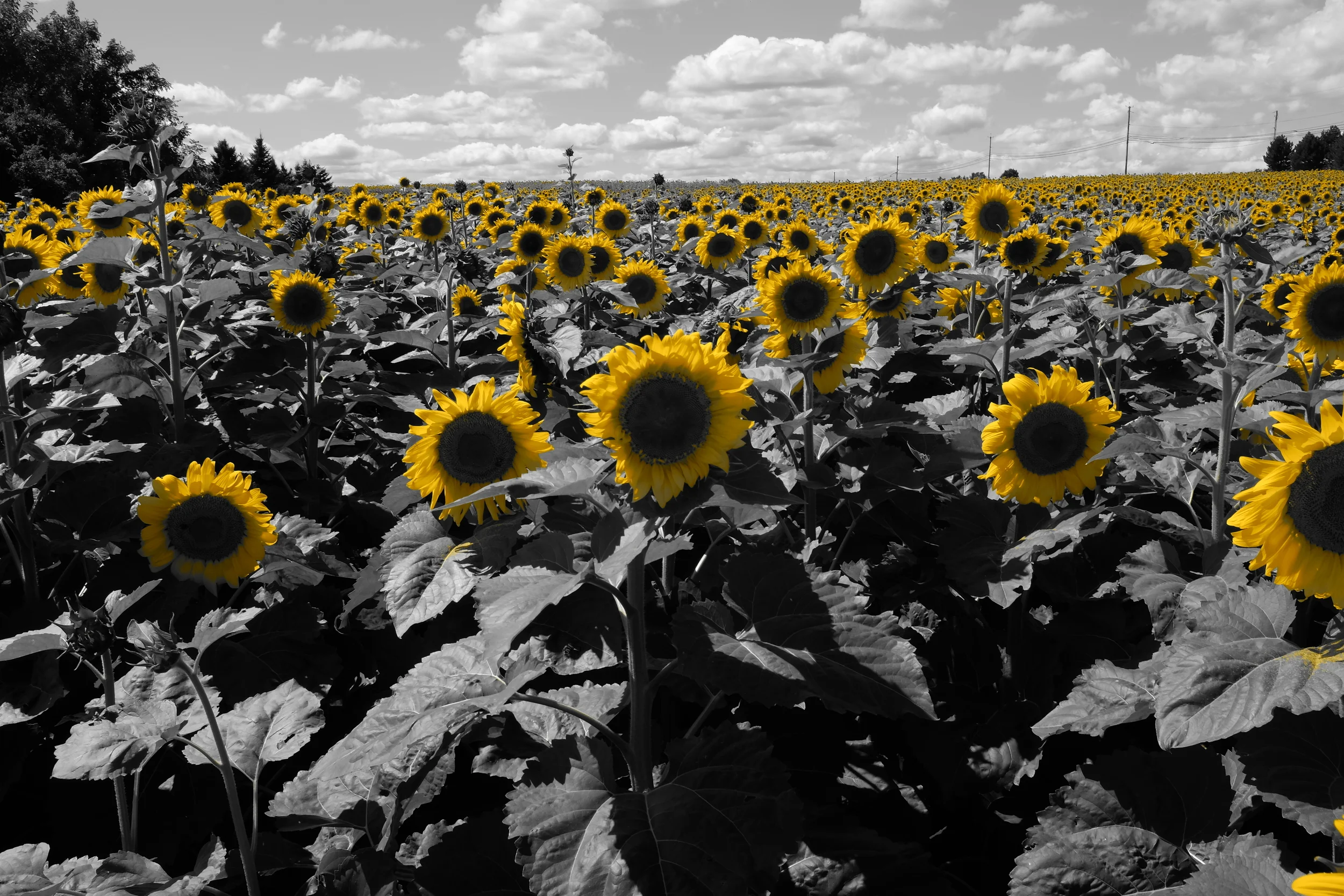 8 Ways OutdoorFitness Will Help Me Survive Doomsday 