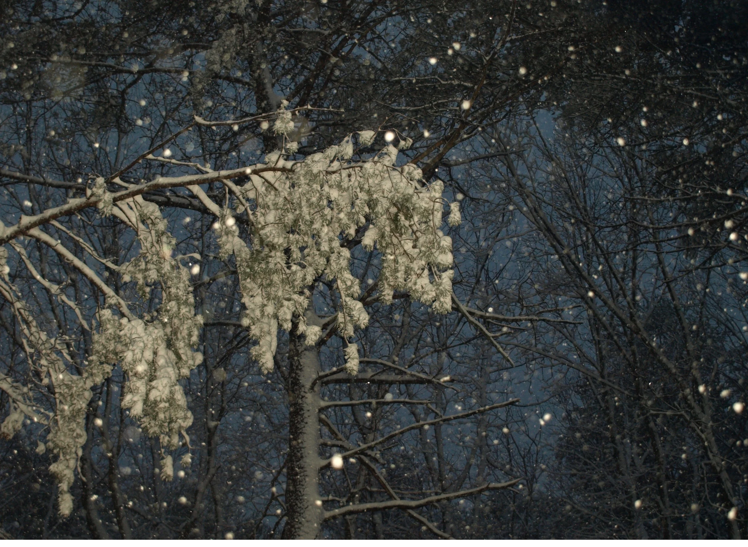 Wintery Mix - Workout Regimen