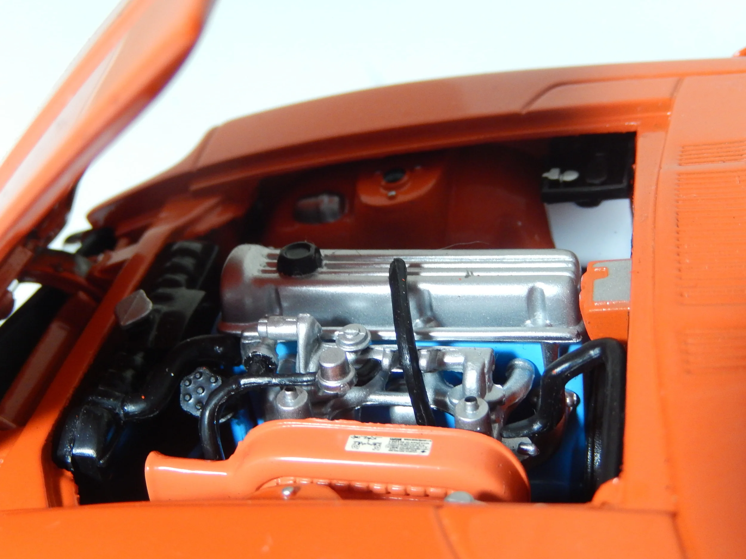 DSCN3043.JPG