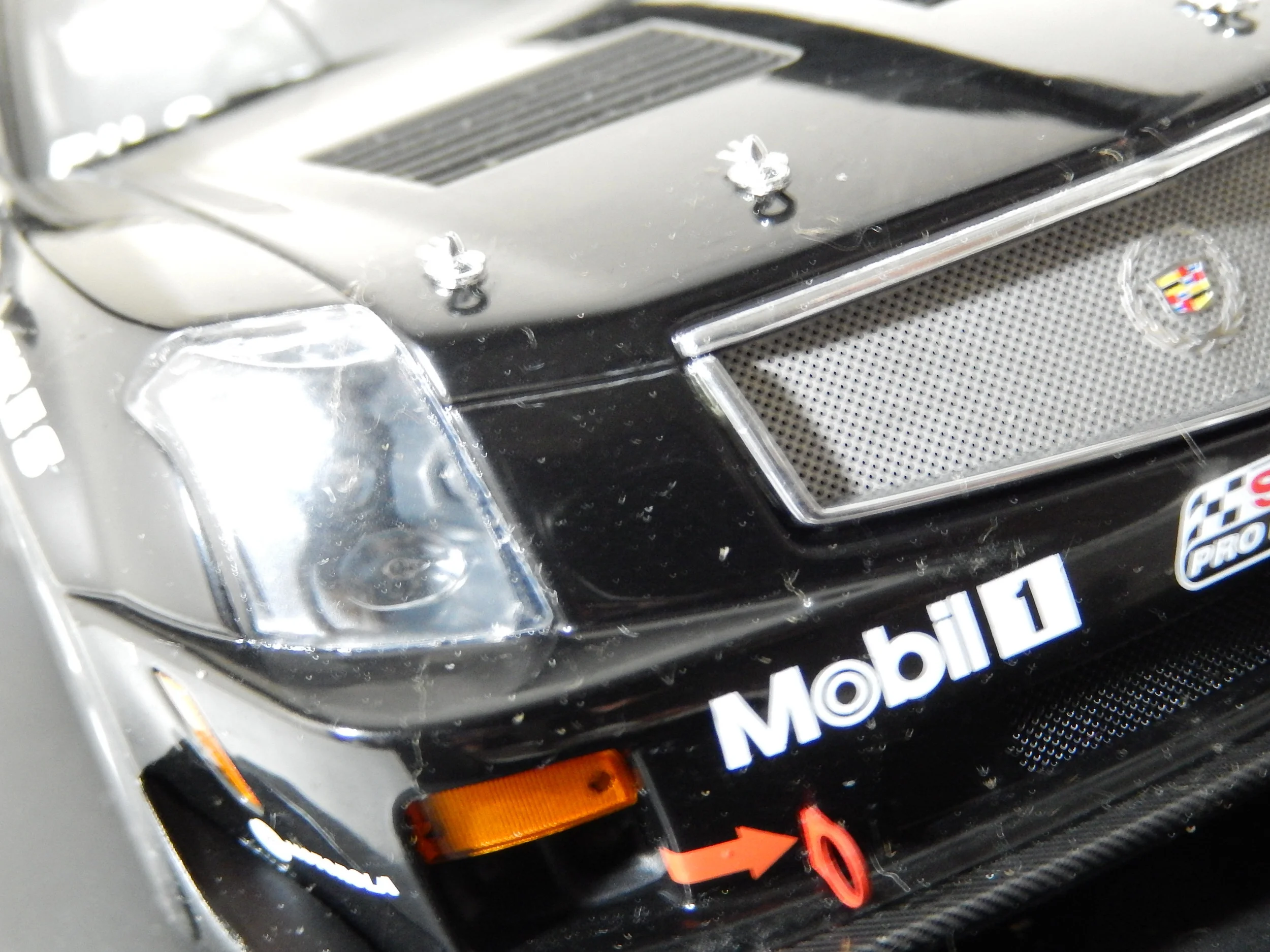 DSCN4583.JPG