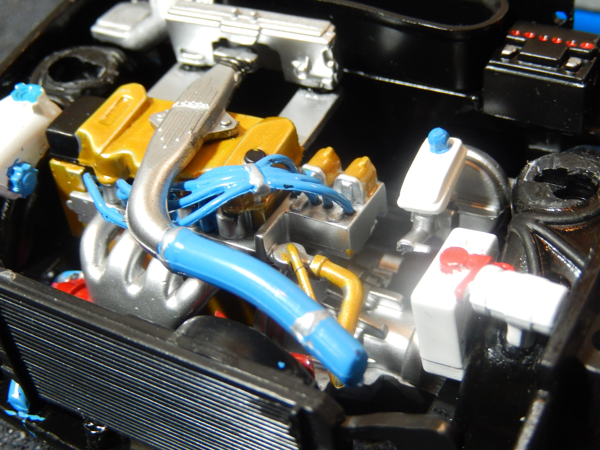 DSCN5498.JPG