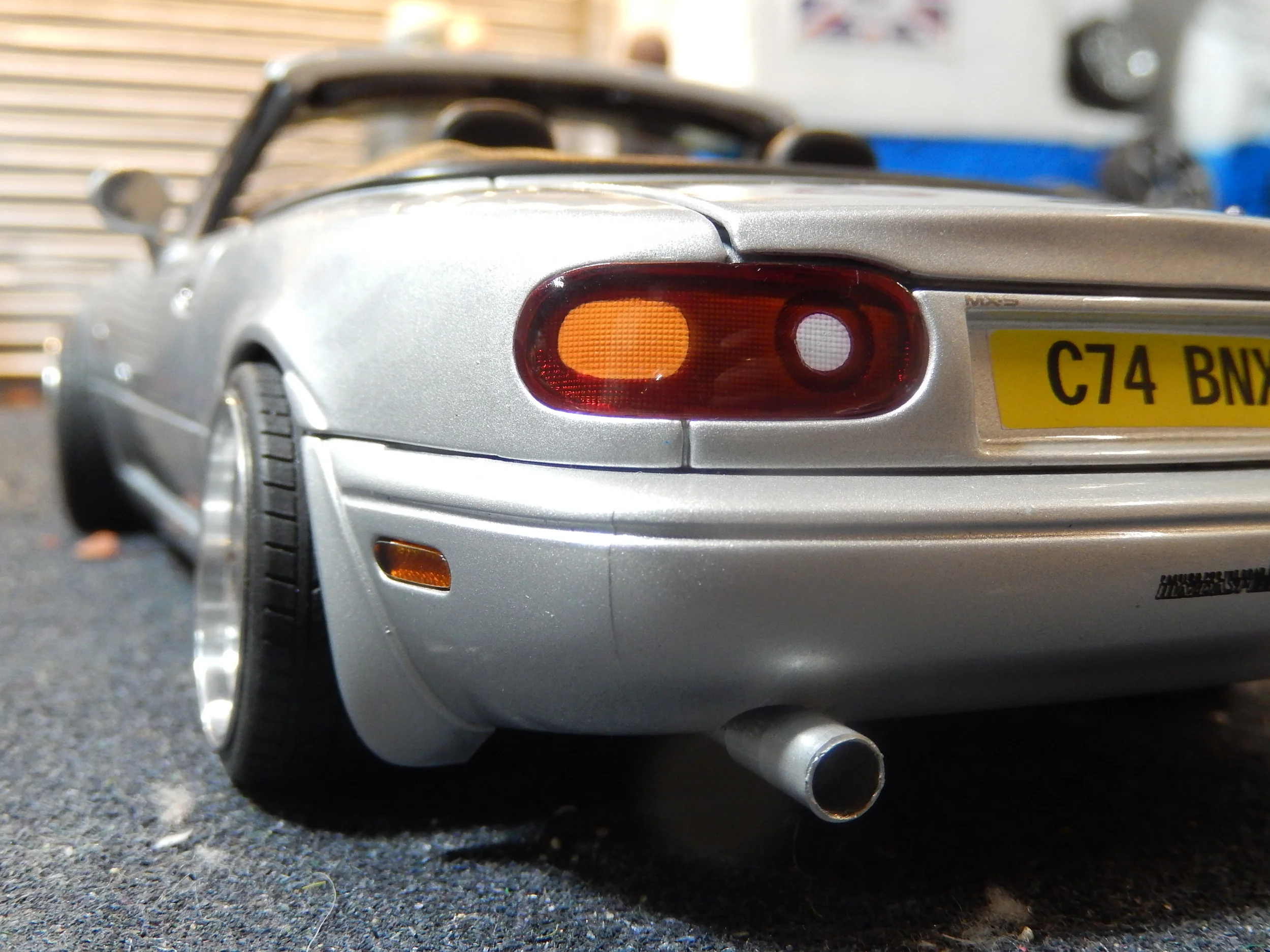 DSCN6520.JPG