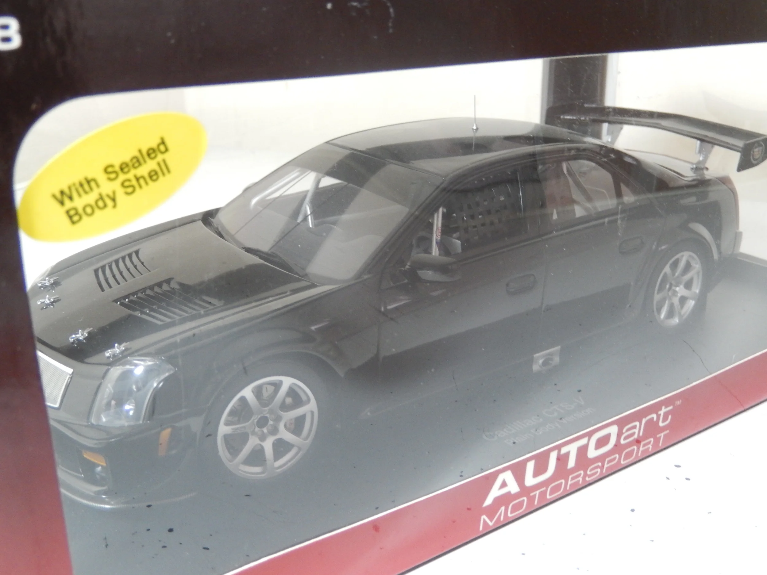 DSCN0288.JPG