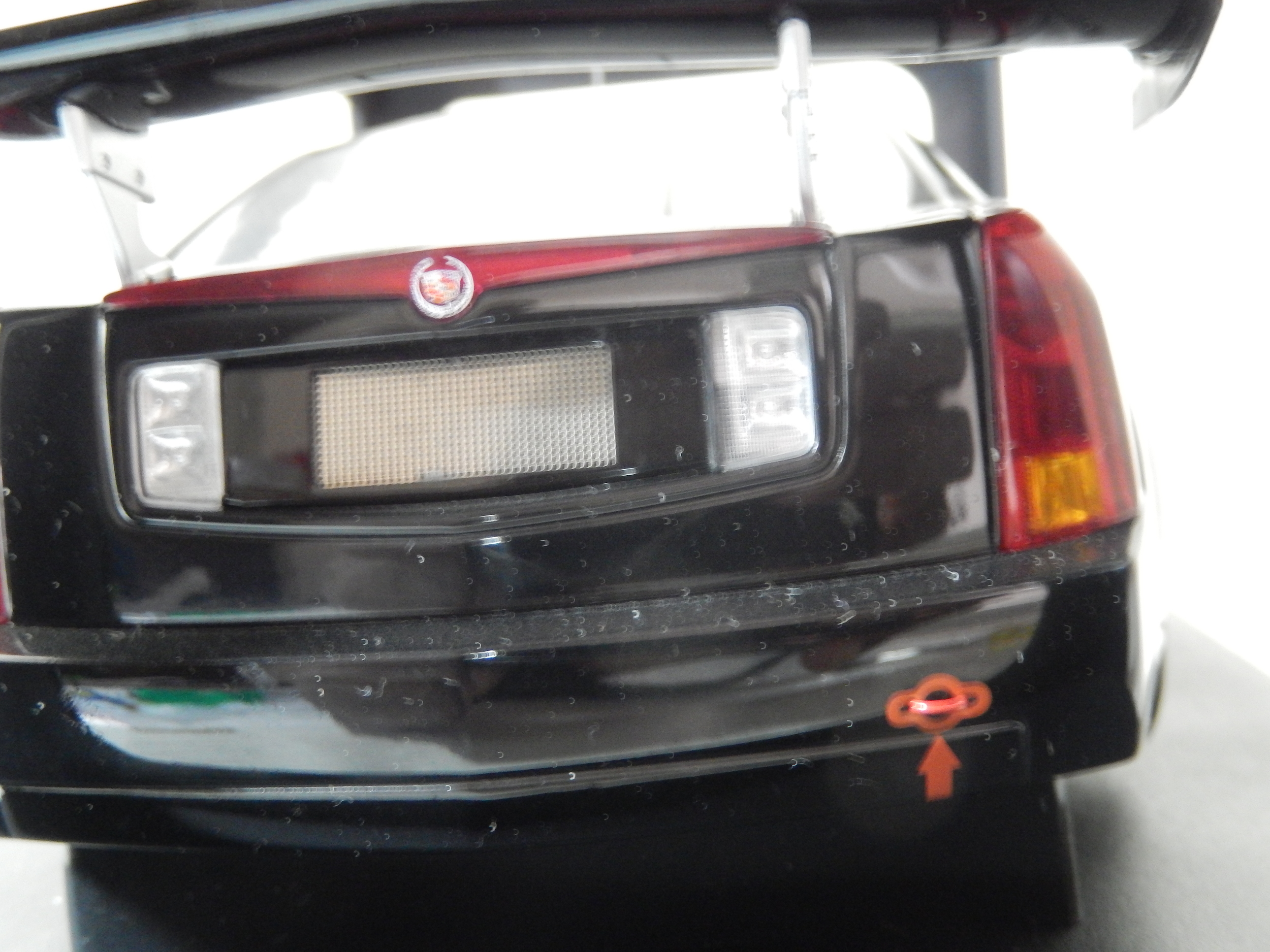 DSCN0296.JPG