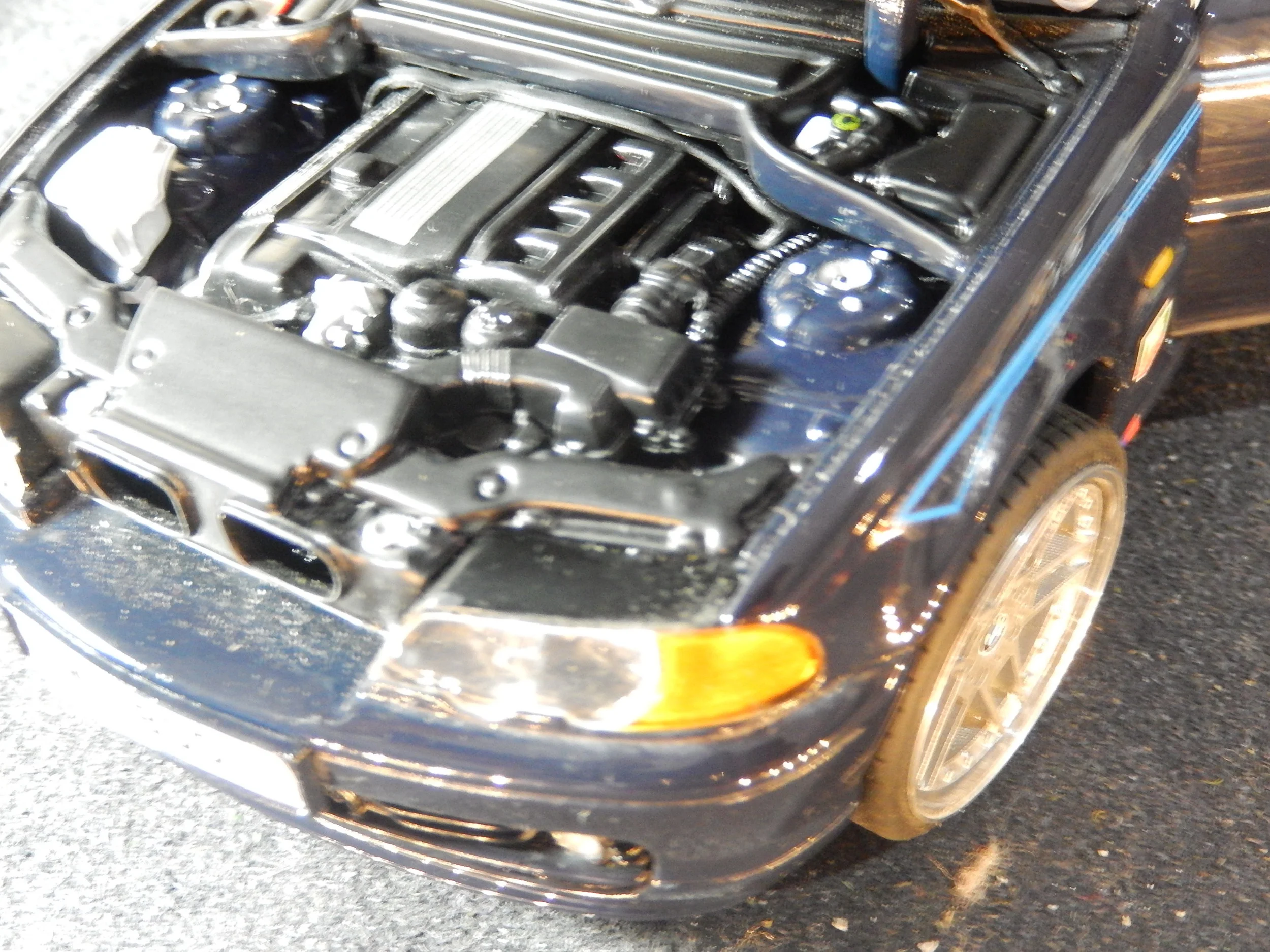 DSCN0536.JPG