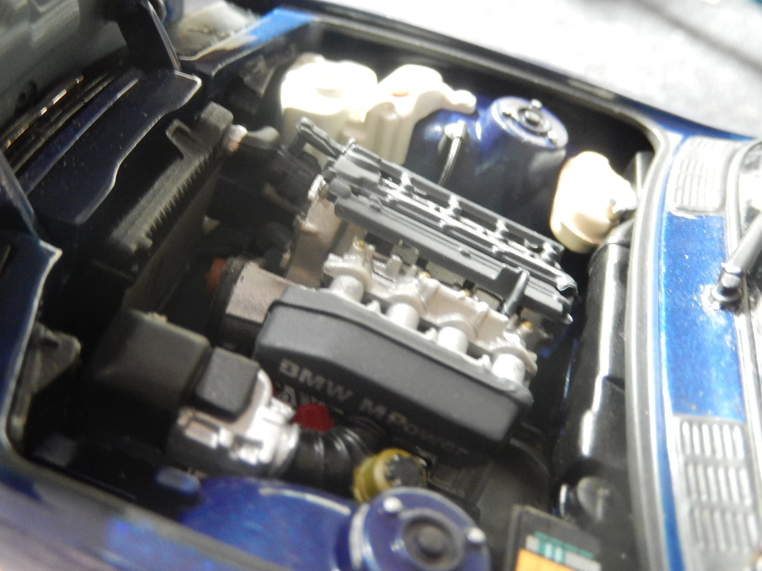 DSCN1783.JPG